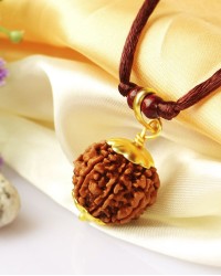 Rudraksha